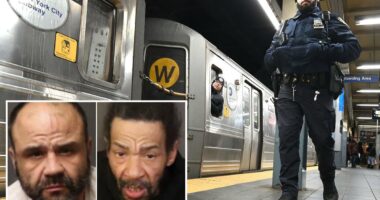 Eagle-eyed cops nab NYC transit terrors â only to see them released without bail